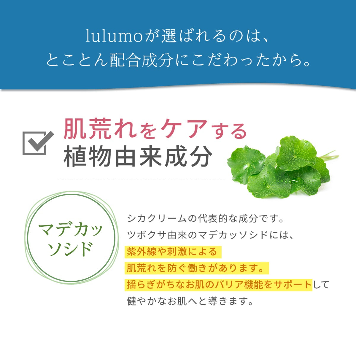 lulumo（ルルモ）シカクリーム